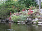 IMG 4377